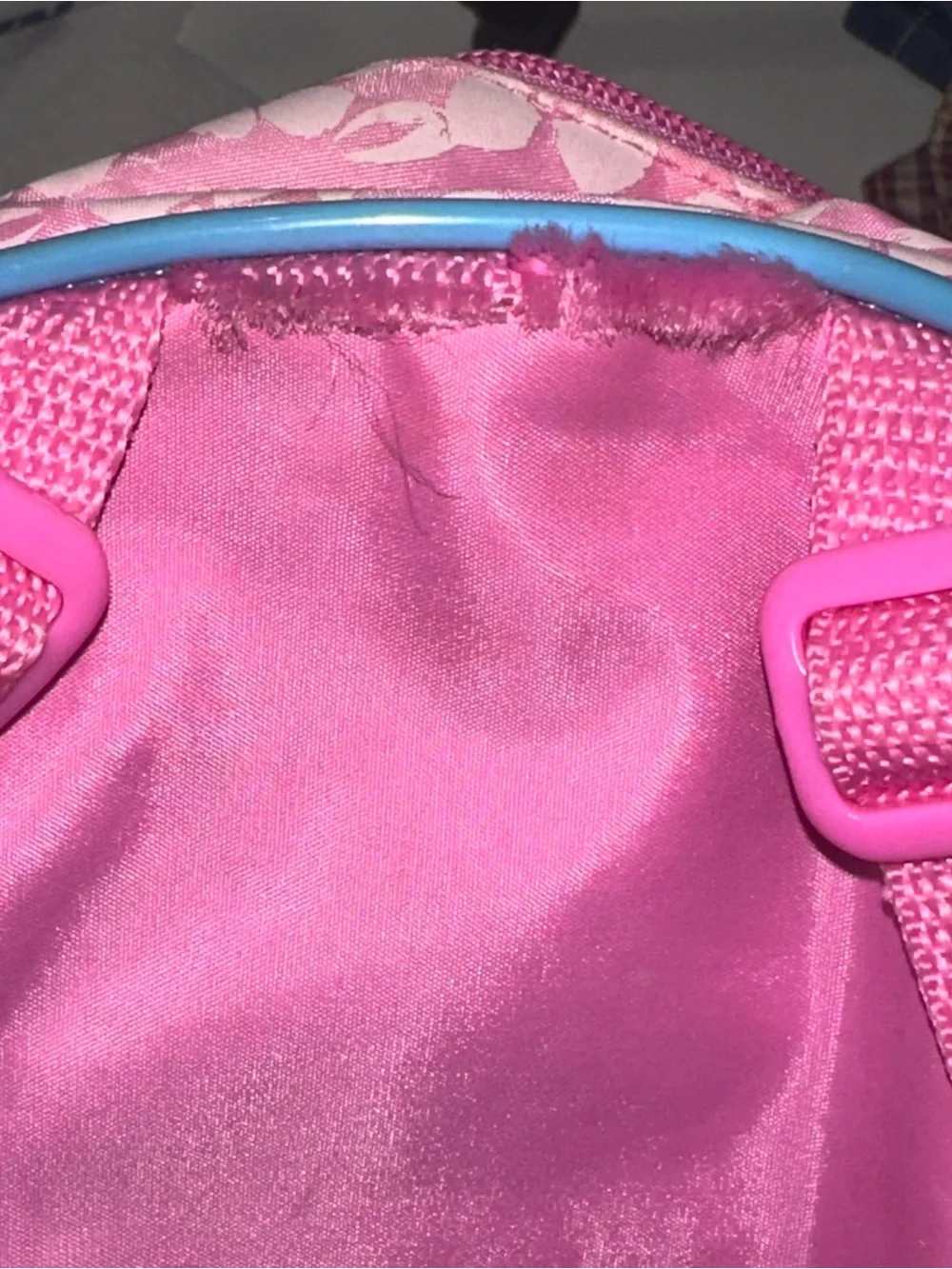 Y2K 2002 Dora the Explorer and Boots Pink Kids Backpack